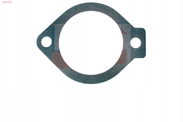 EPS USZCZELKA TERMOSTATU Producent części EPS