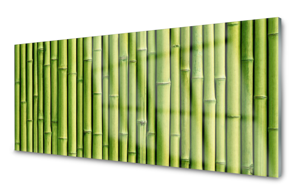 

Panel szklany do kuchni Bambus Roślina 125x50