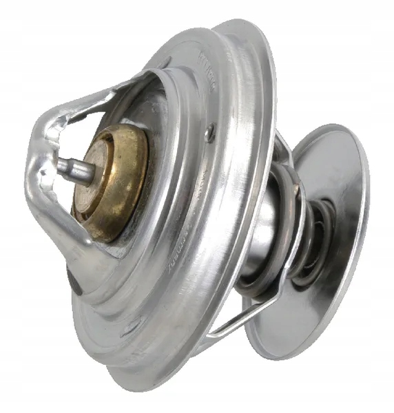 Termostat Steyr