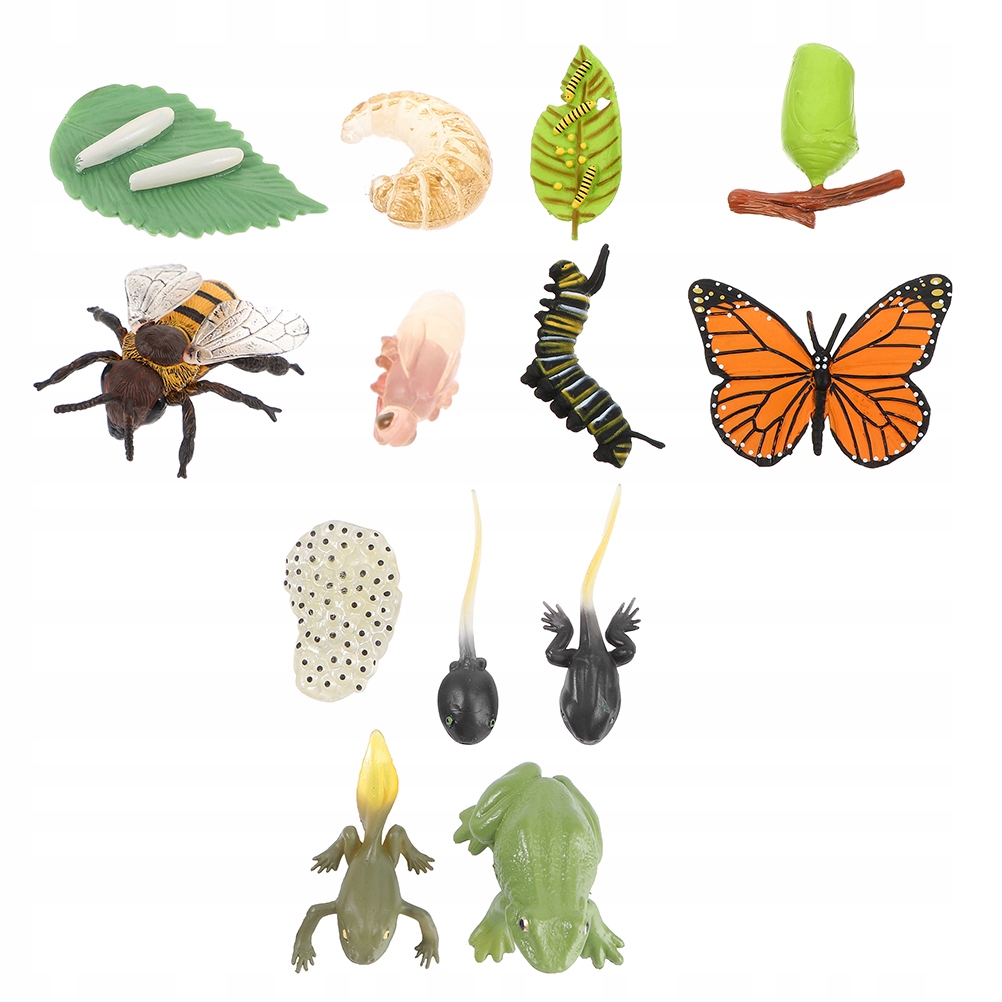 3 ZESTAWY SYMULACYJNYCH MODELI WZROSTU OWADÓW