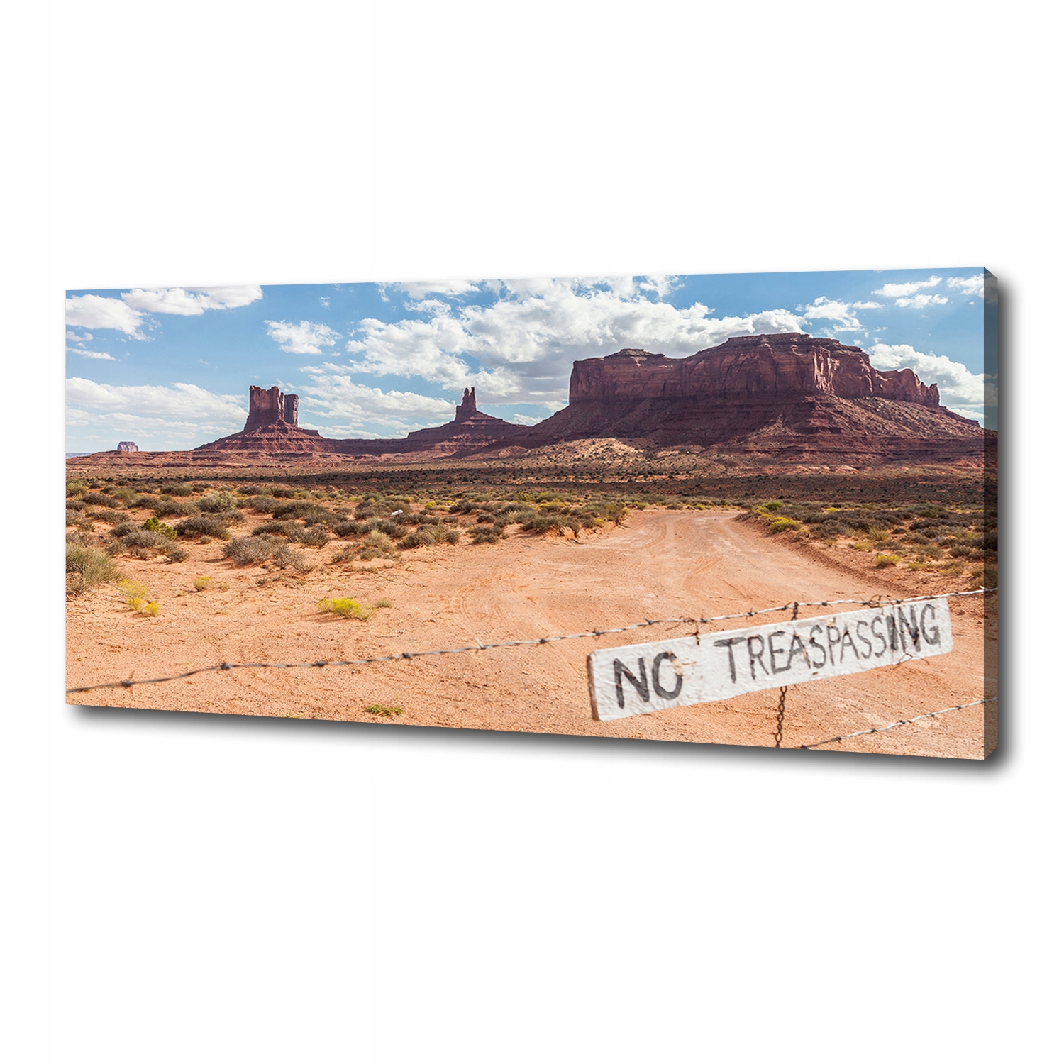 

Foto obraz canvas na ścianę Arizona Usa 125x50 cm