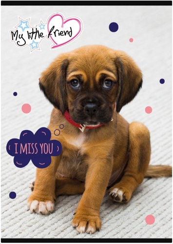 

Zeszyt A5 32 Kartek W Linię Linia Unipap