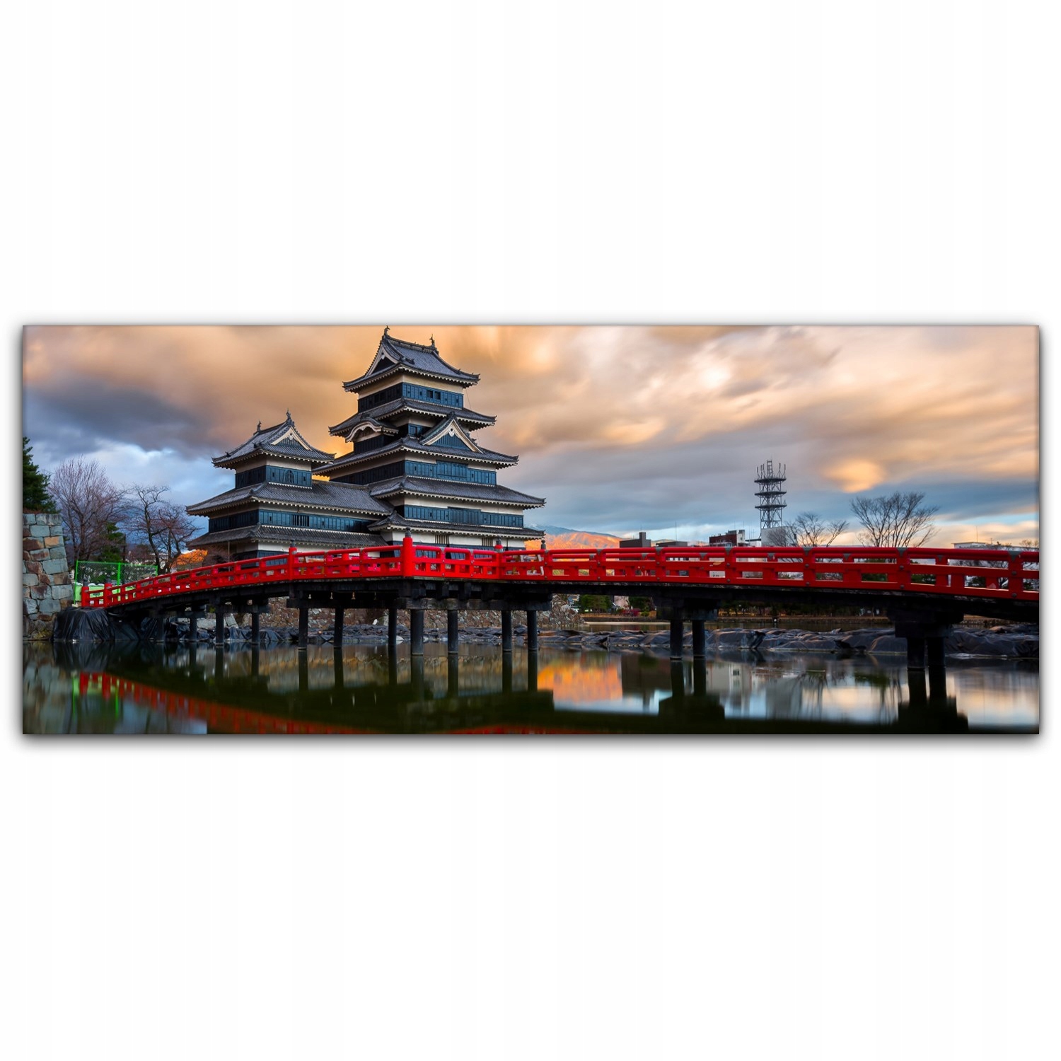 

Obraz płótno canvas 125x50 Azja Zamek Wiśnie Kwiat