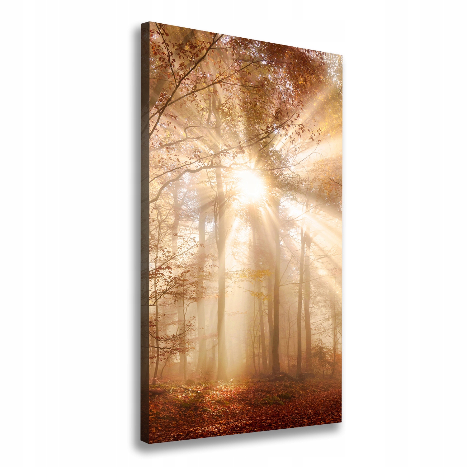 

Foto obraz canvas do salonu Las jesienią 50x100