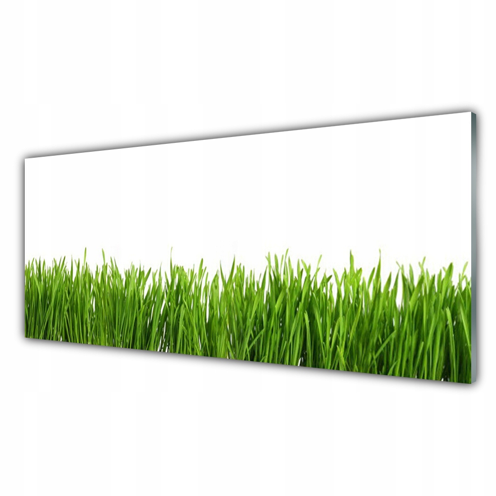 

Obraz akryl nowoczesny 125x50 Trawa Natura Roślina