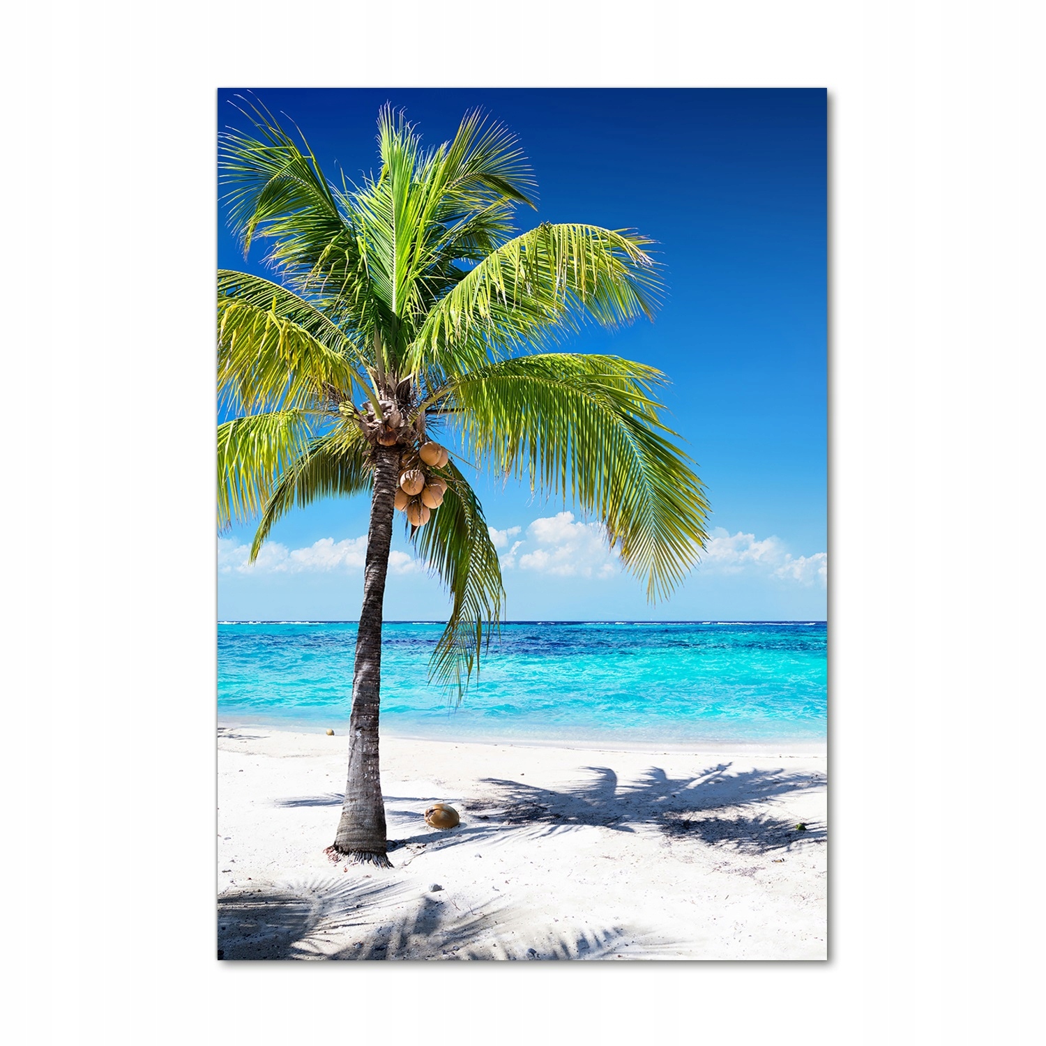 

Foto obraz szkło akrylowe Tropikalna plaża 70x100