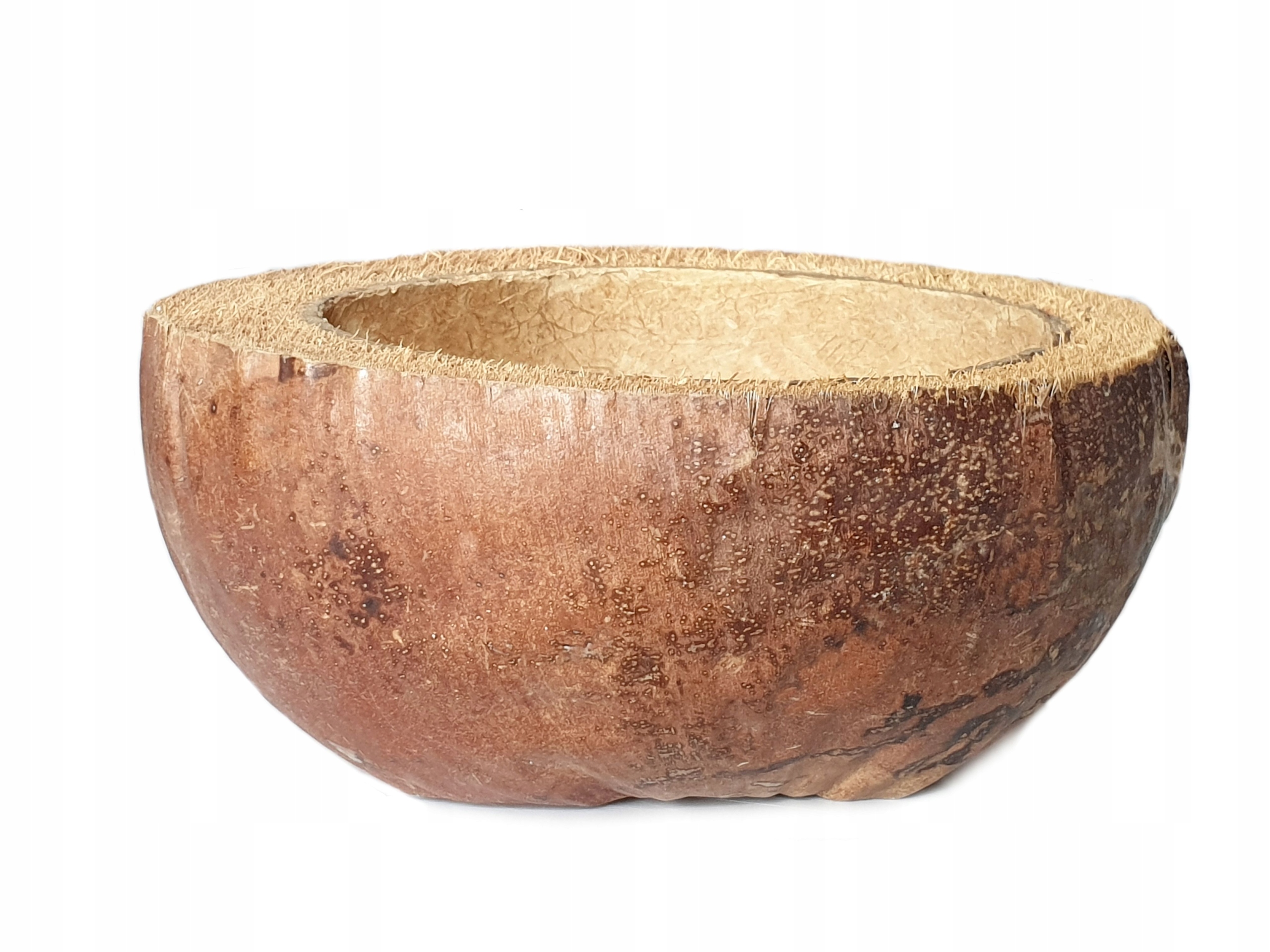 

Kokos Łupina kokosa miseczka doniczka Kokosy 20 cm
