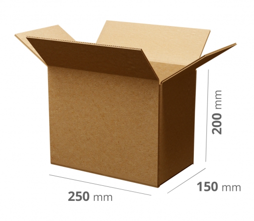 100x Karton Pudło klapowe 250x150x200 szare 3W B 340g/m2 Gabaryt C
