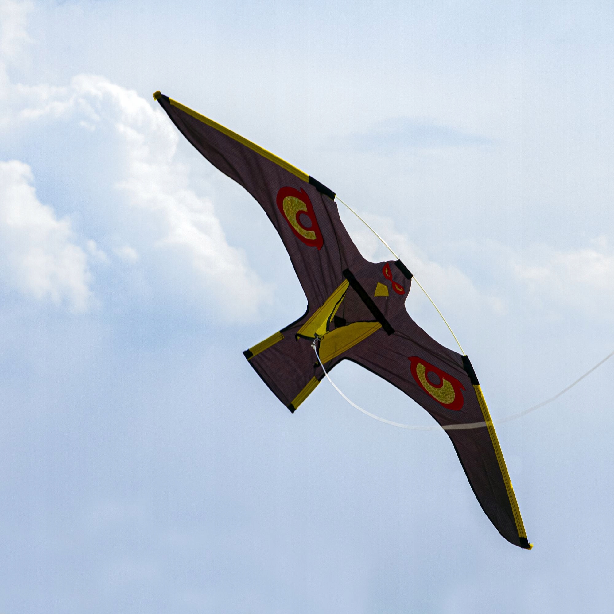 

Latawiec Sokół Odstraszacz Ptaków XXXL 142cm Kruk