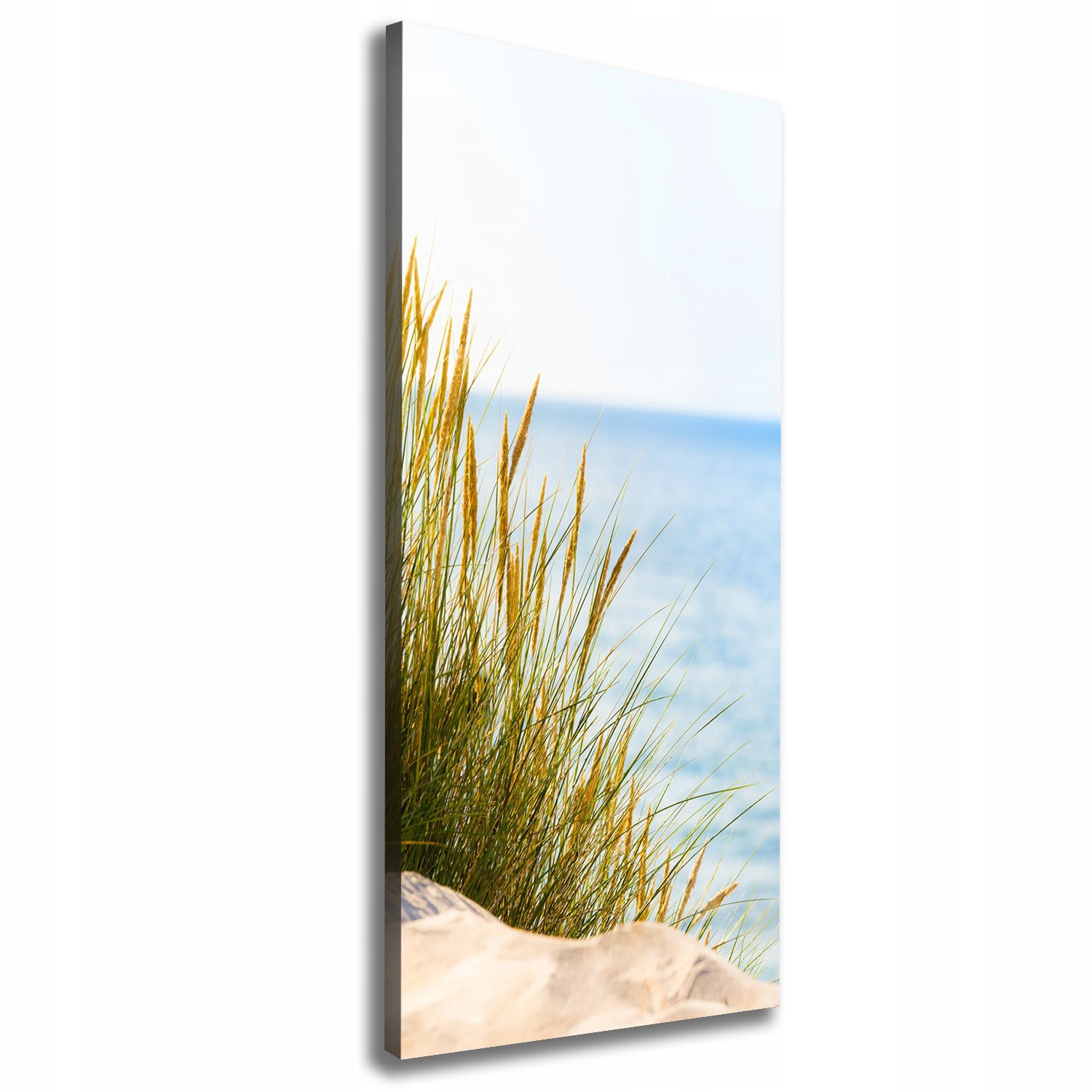 

Foto obraz na płótnie Nadmorskie wydmy 50x125 cm