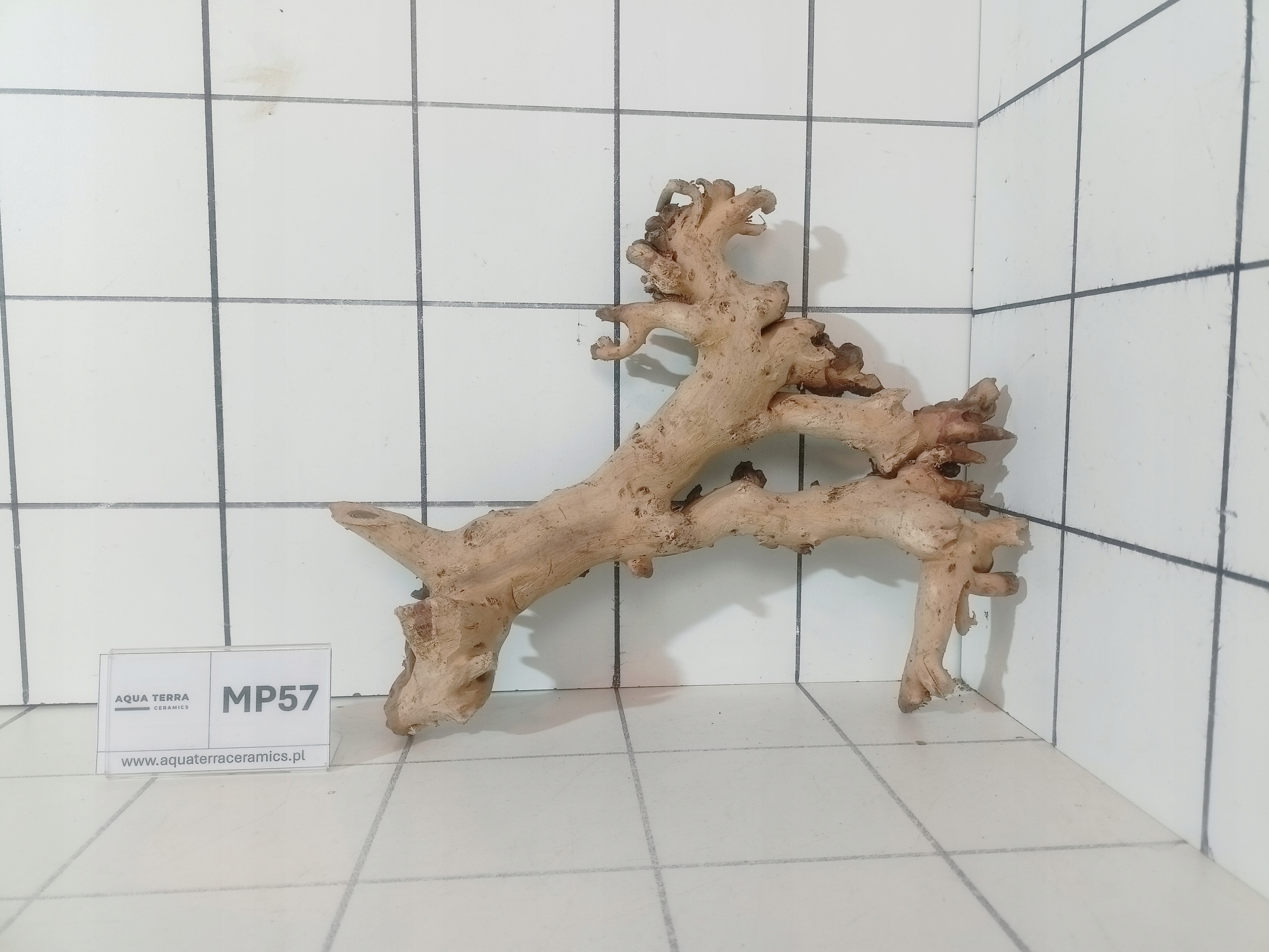 Korzeń Premium Mopani MP57 – Naturalny Gotowy do Akwarium Terrarium Desert
