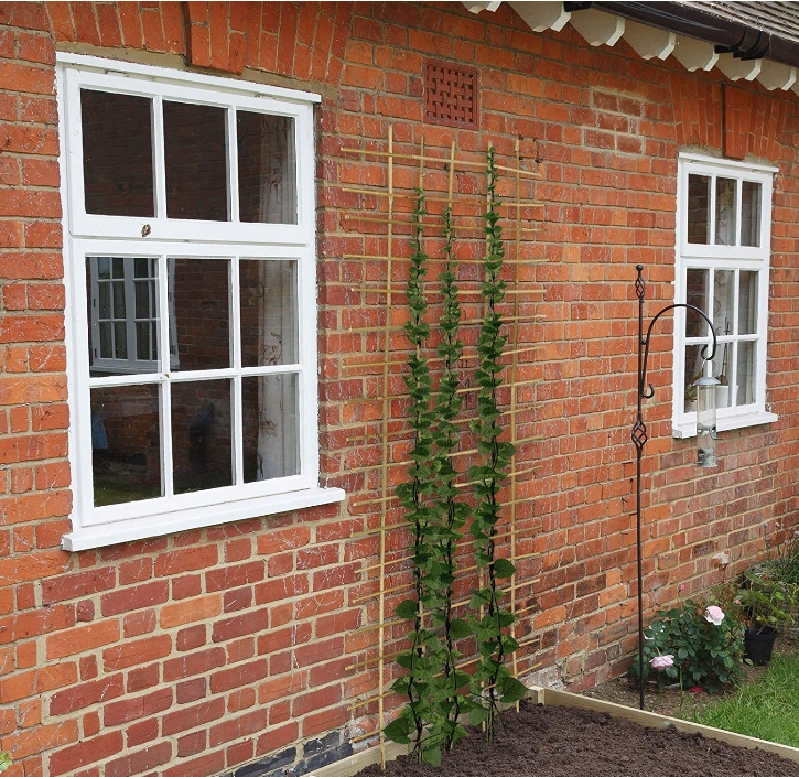 TYCZKA BAMBUSOWA PODPORA 180 cm 12-14 mm 10szt. Kod producenta 2210147