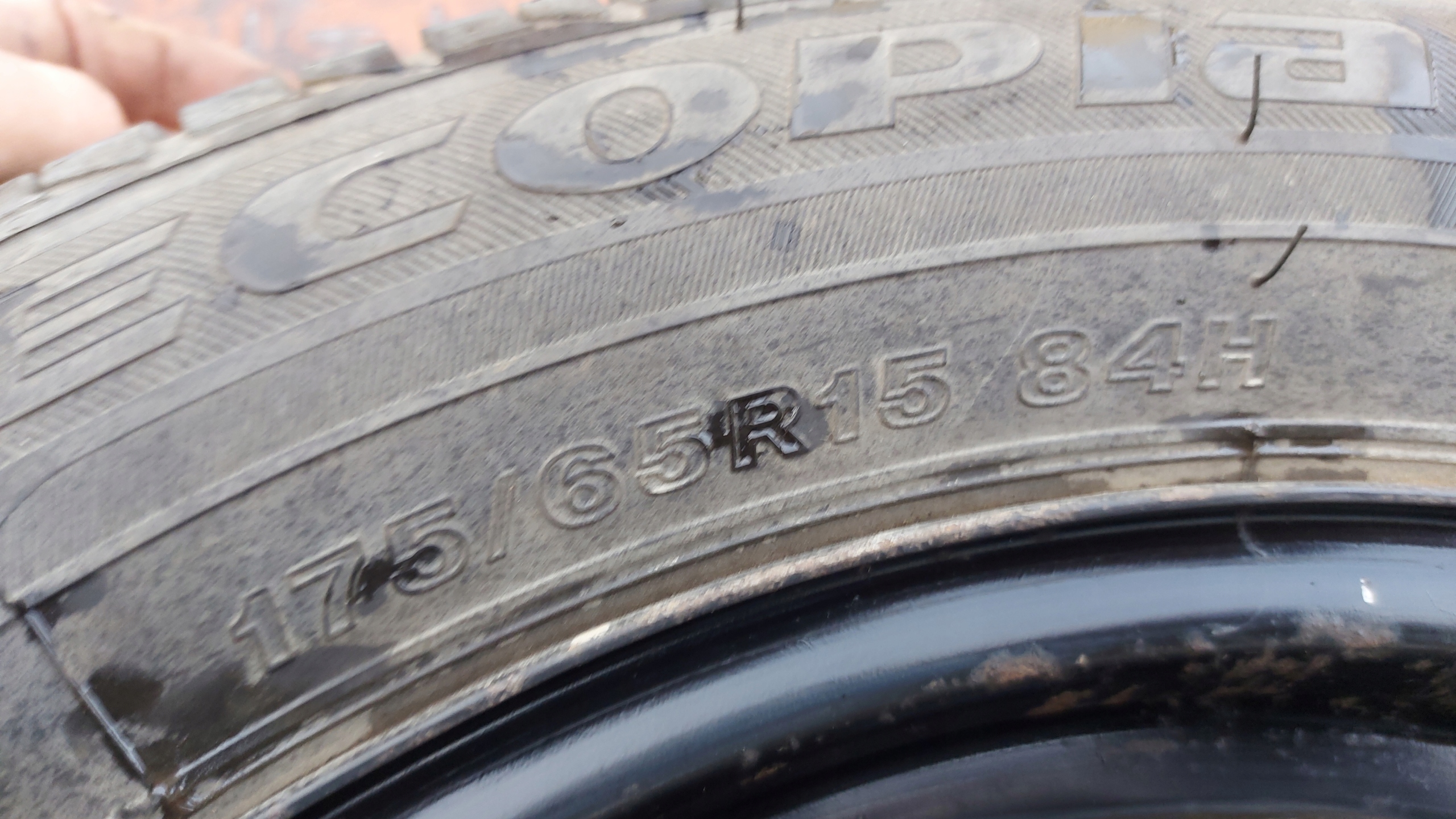BRIDGESTONE ECOPIA EP25 175/65R15 pneumatici, gomme estive 5,5mm