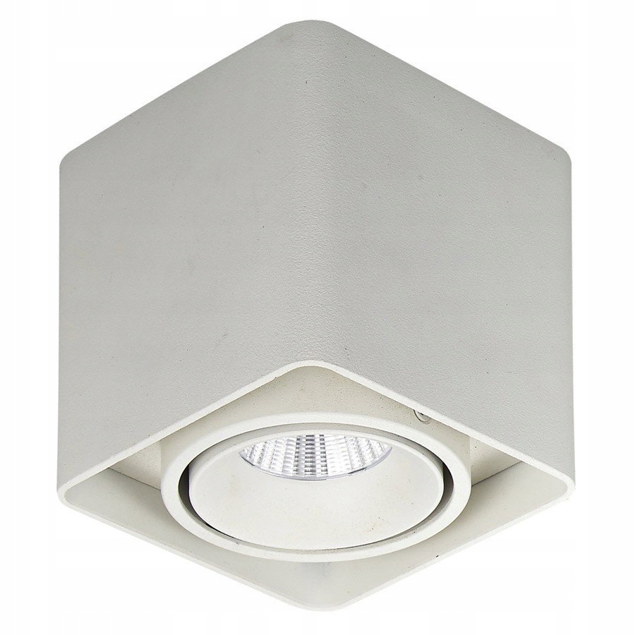 Stropní svítidlo Bonnie SLC78004/10W Wh Italux