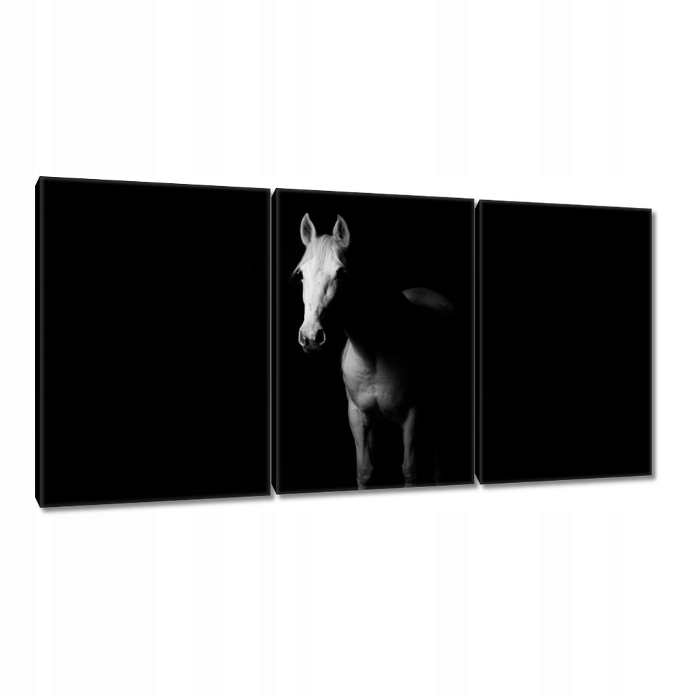 

Obrazy 120x60 Koń w cieniu