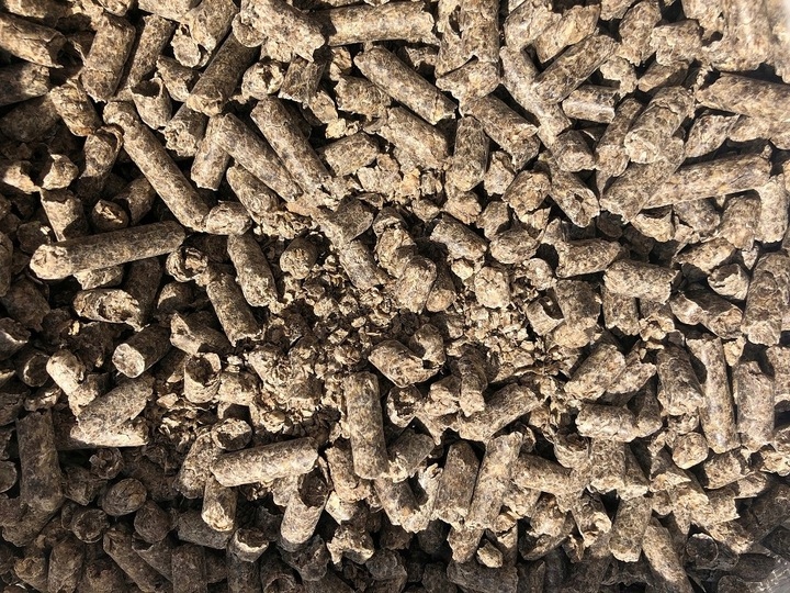 Unipasz WYSŁODKI BURACZANE niemelasowane suszone granulowane dla koni