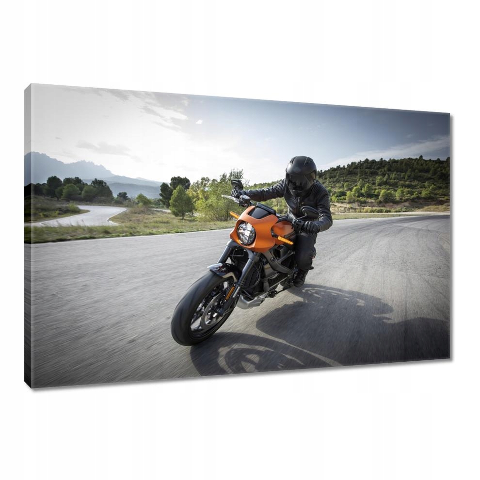 

Obrazy 90x60 Harley Davidson Motocykl
