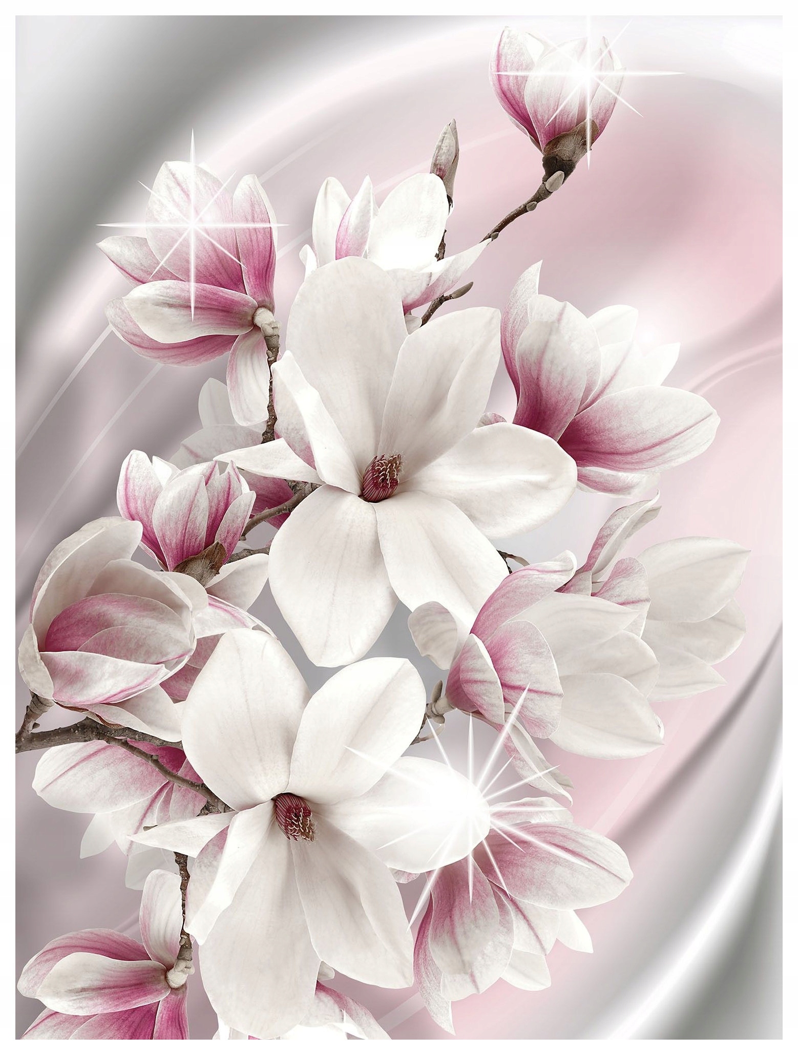 Fototapeta Magnolie květiny jaro vinylová 184x254 jemný akcent lepidlo