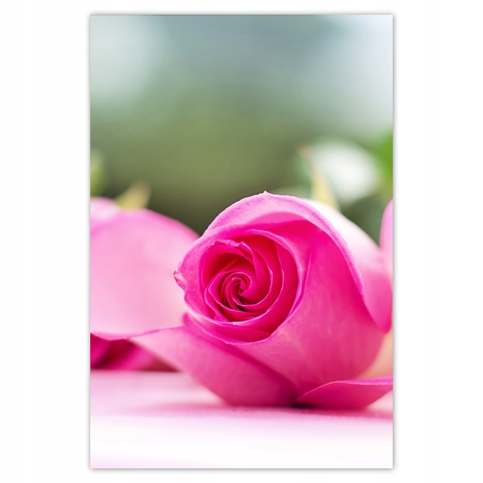 

Plakaty 62x93 Dzień Kobiet Prezent Love