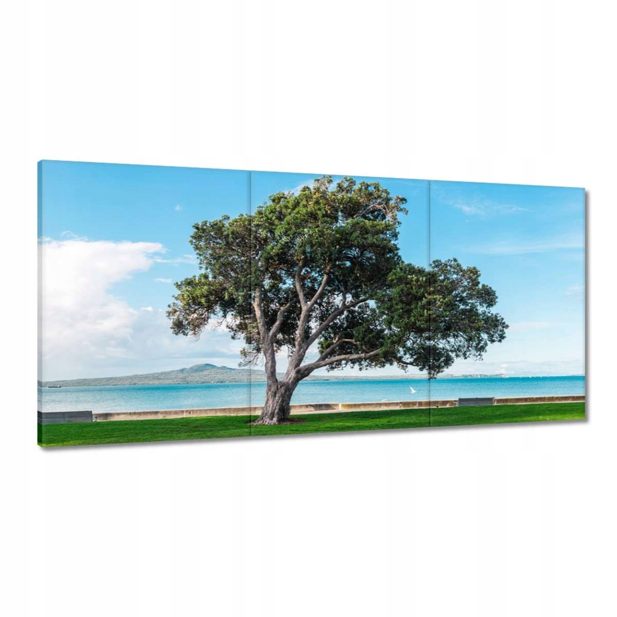 Obrazy 120x60 Nerozbitné