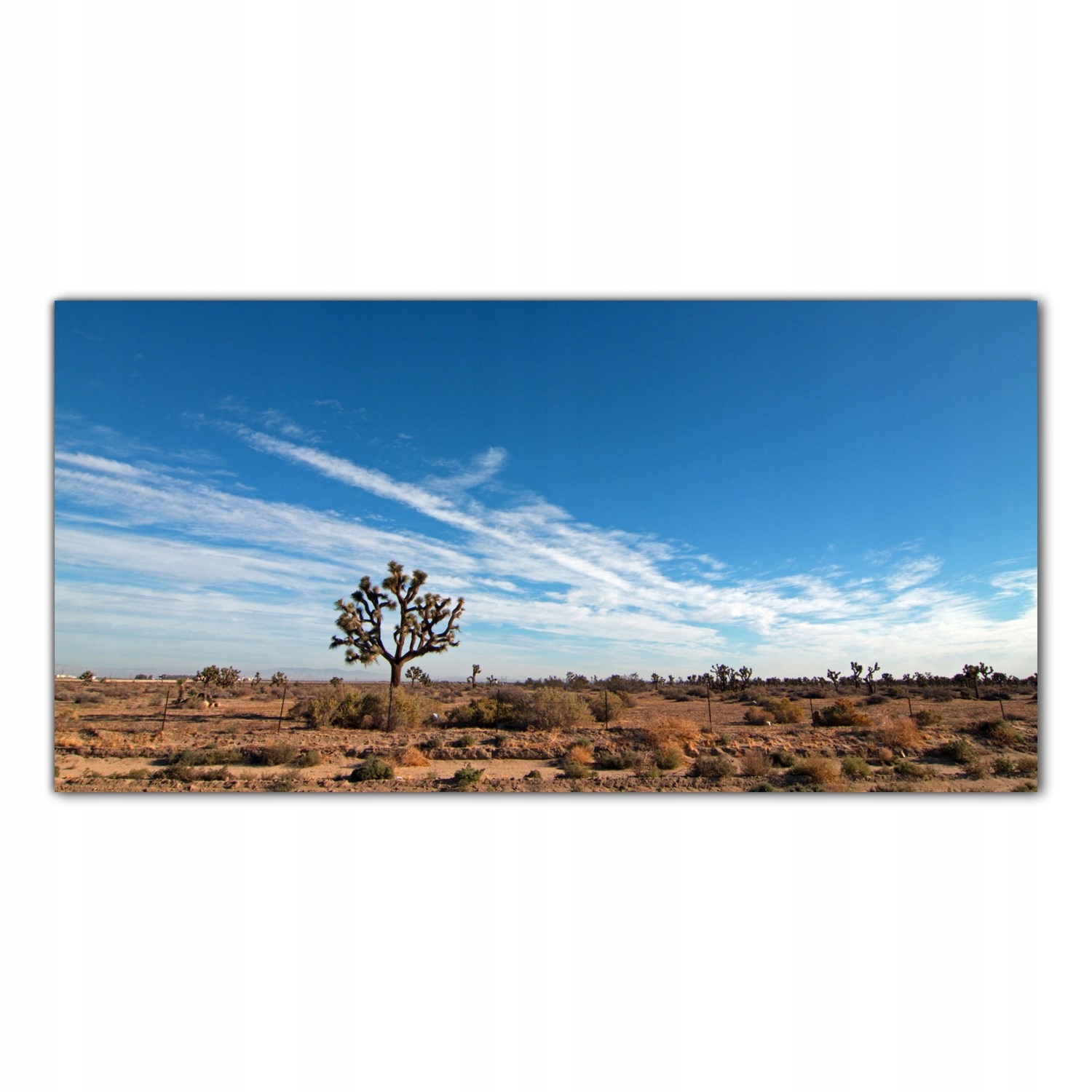 

Obraz Szklany Foto-obraz Pustynia Natura 120x60