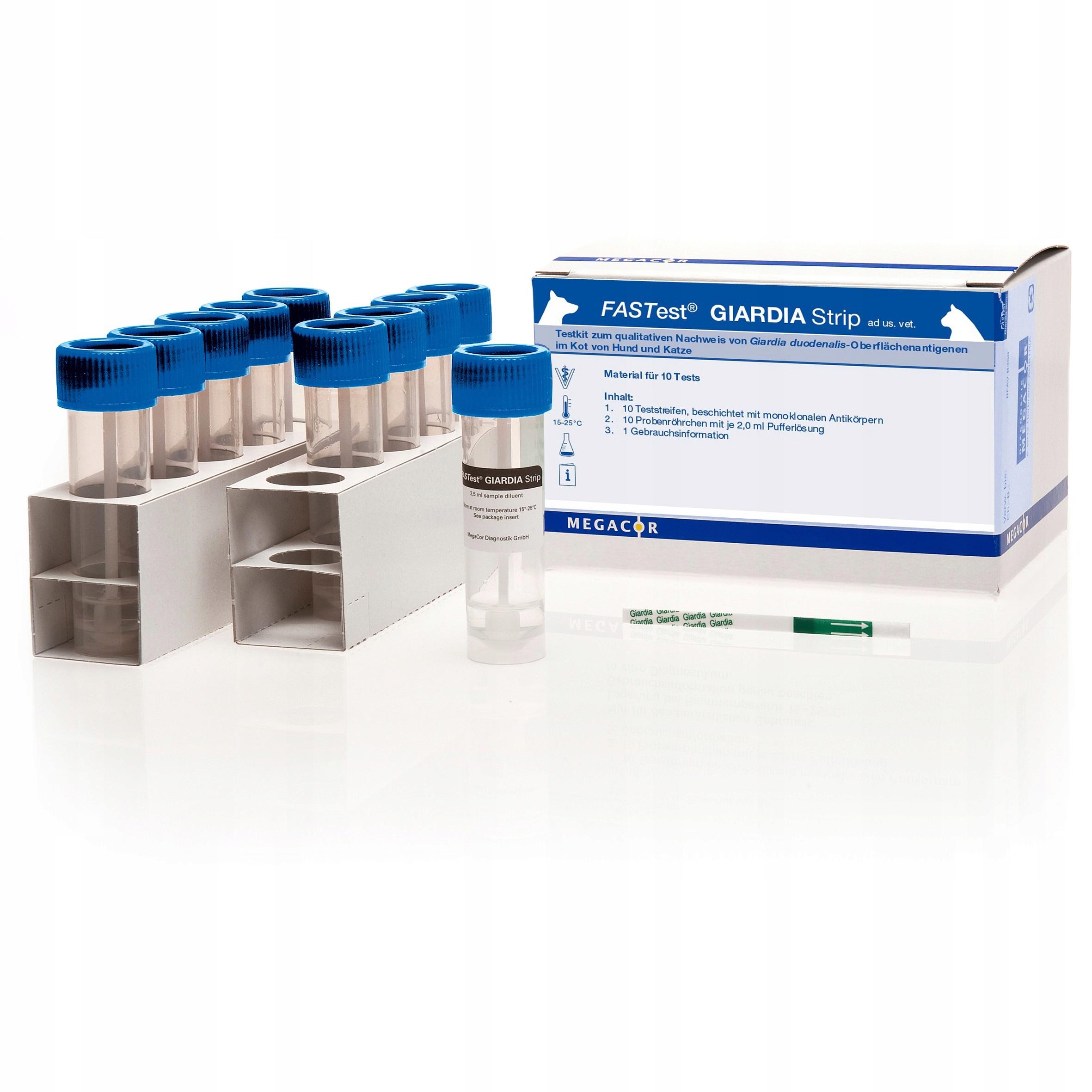 Zestaw testowy FASTest Giardia Strip, 10 pasków