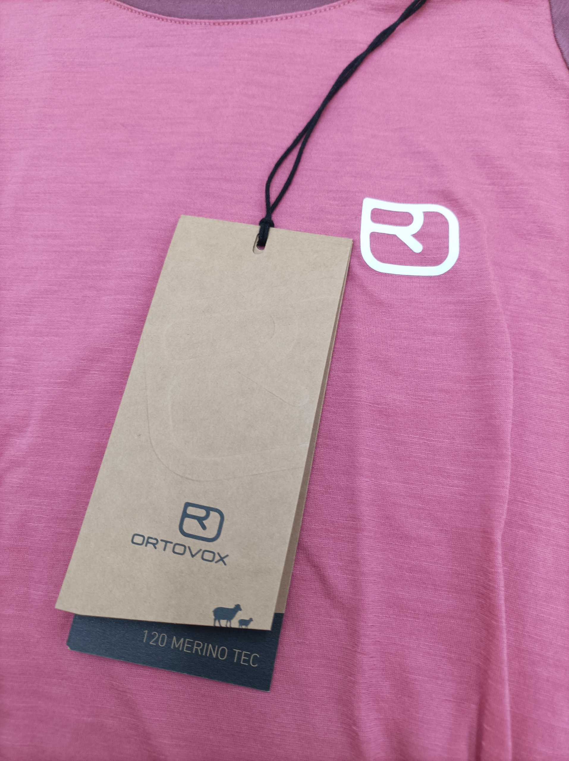 ORTOVOX 120 TEC FAST MOUNTAIN, koszulka damska sportowa, r.S Marka Ortovox