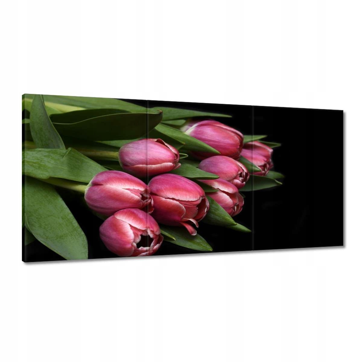 Obrazy 120x60 Šťavnaté tulipány