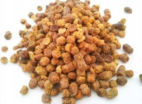 Levně Perga na Imunitu, surové, 100% čerstvé, 500 g