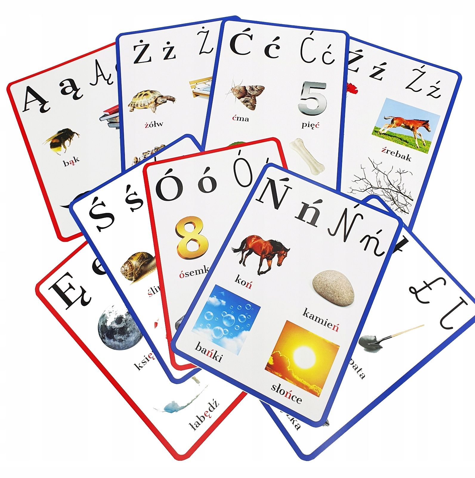 ALFABET plansze edukacyjne A4 zmiękczenia DWUZNAKI Klasa brak informacji