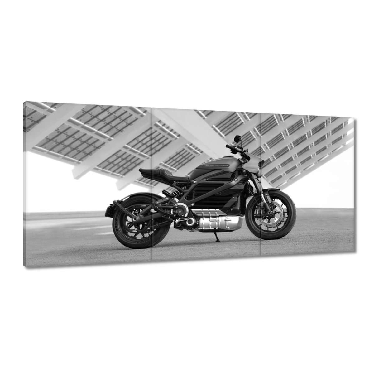 Obrazy 210x100 Harley Davidson Motocykel