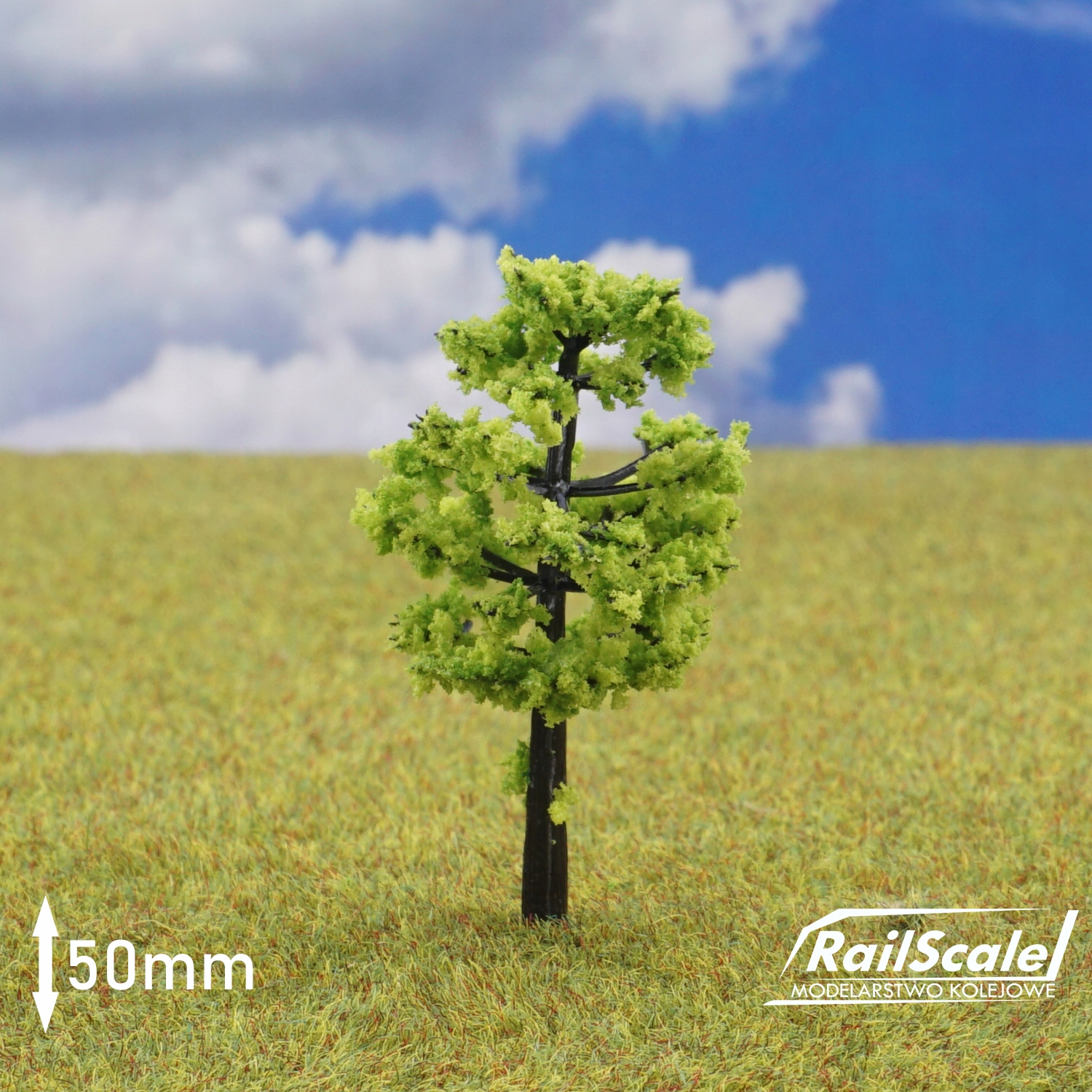 

Drzewka 50 mm na makietę kolejową H0 1:87 Tt (e)