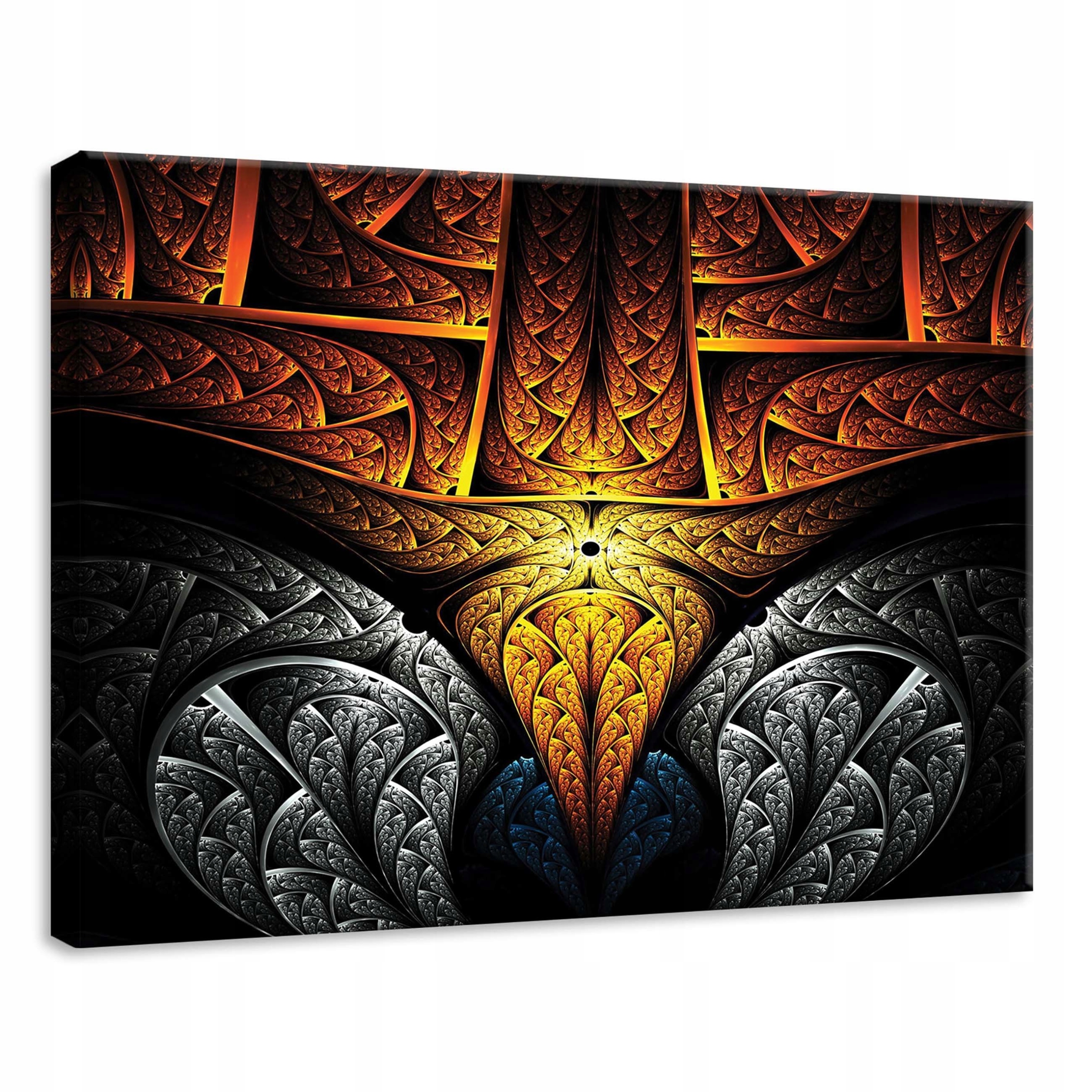 Obraz 70x50 Abstrakce ornament fraktální symetrie lesk kontrast světlo