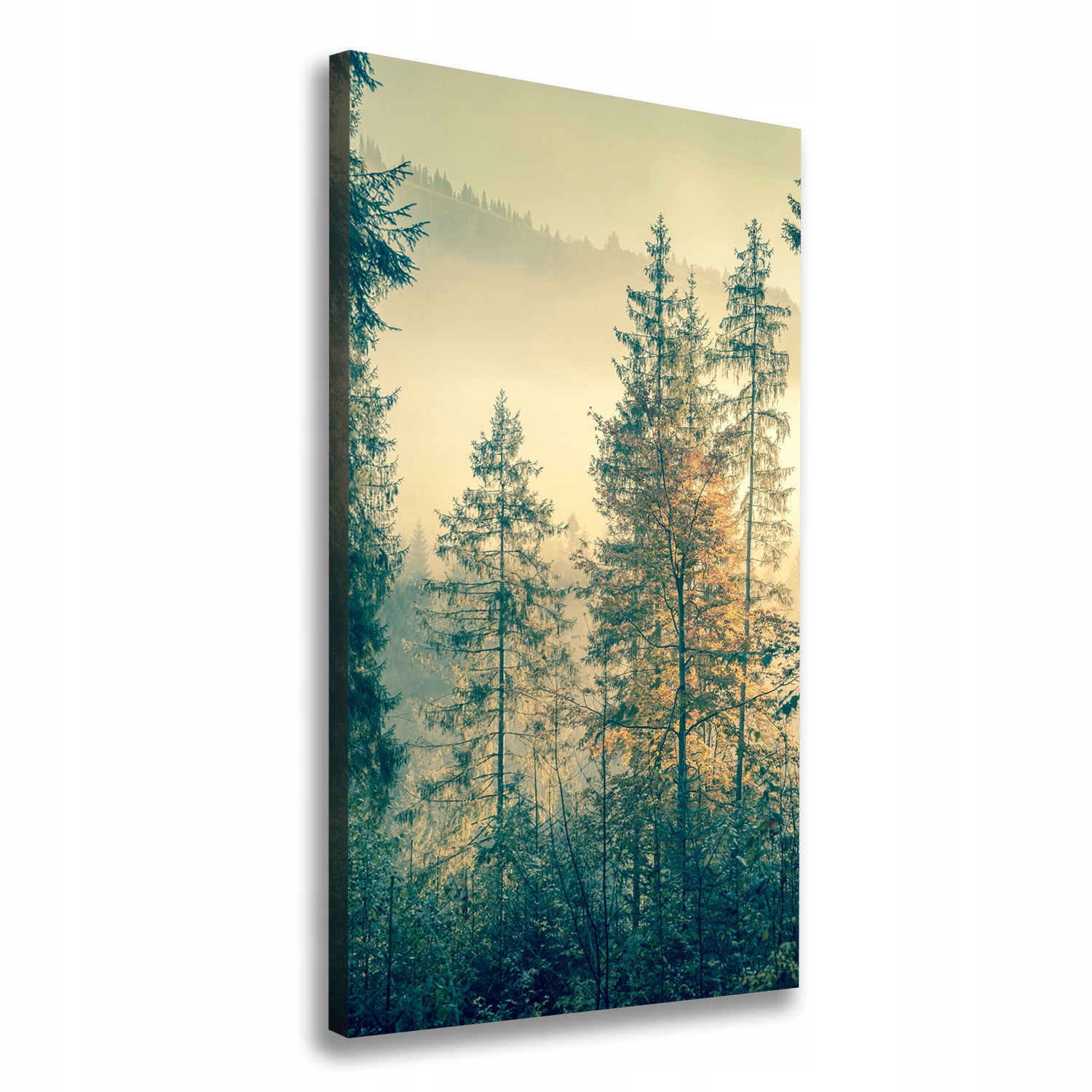 

Foto obraz na płótnie Mgła nad lasem 50x100 cm