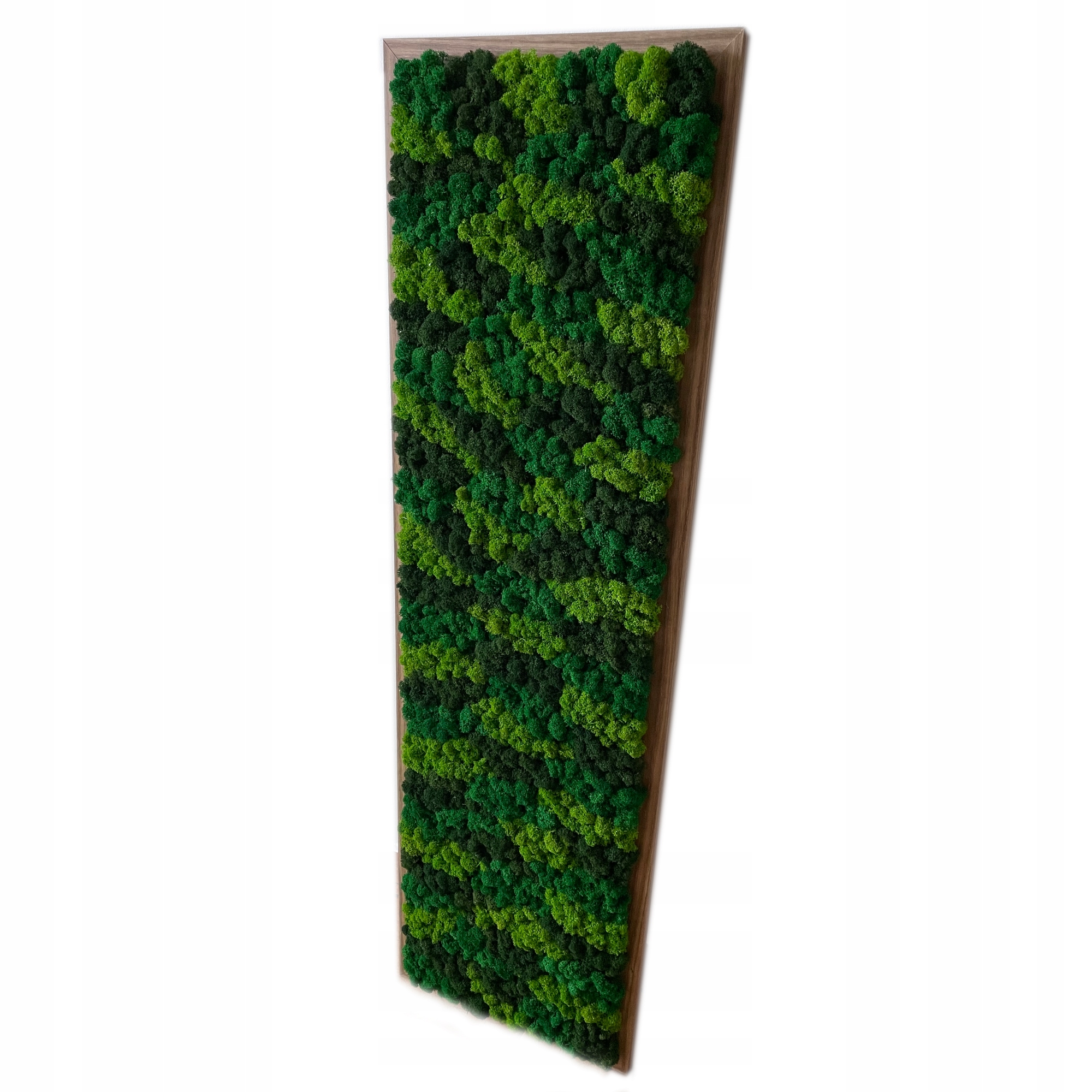 Mech Chrobotek Přírodní Obraz z Mechu 100 x 30 cm mix barev