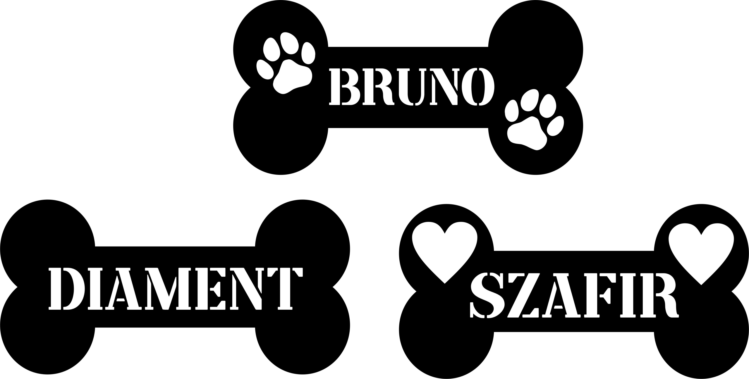 Levně Kost s jménem psa ozdoba boudy kovová cedulka jméno Pes Buda 40 cm