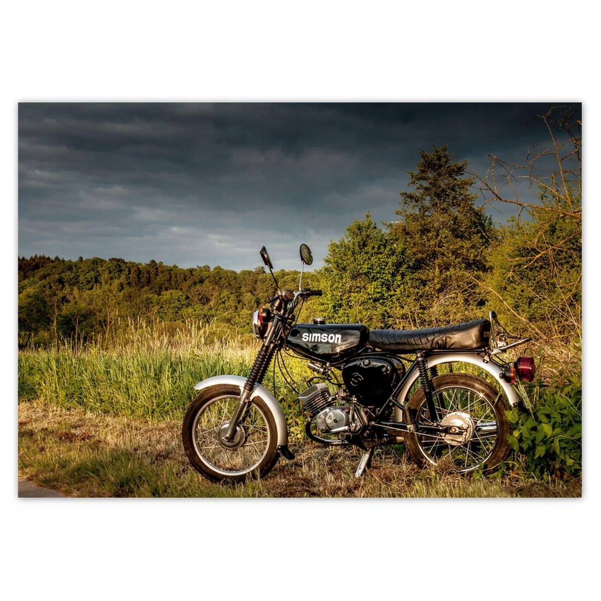Fototapety 312x219 Černý Simson