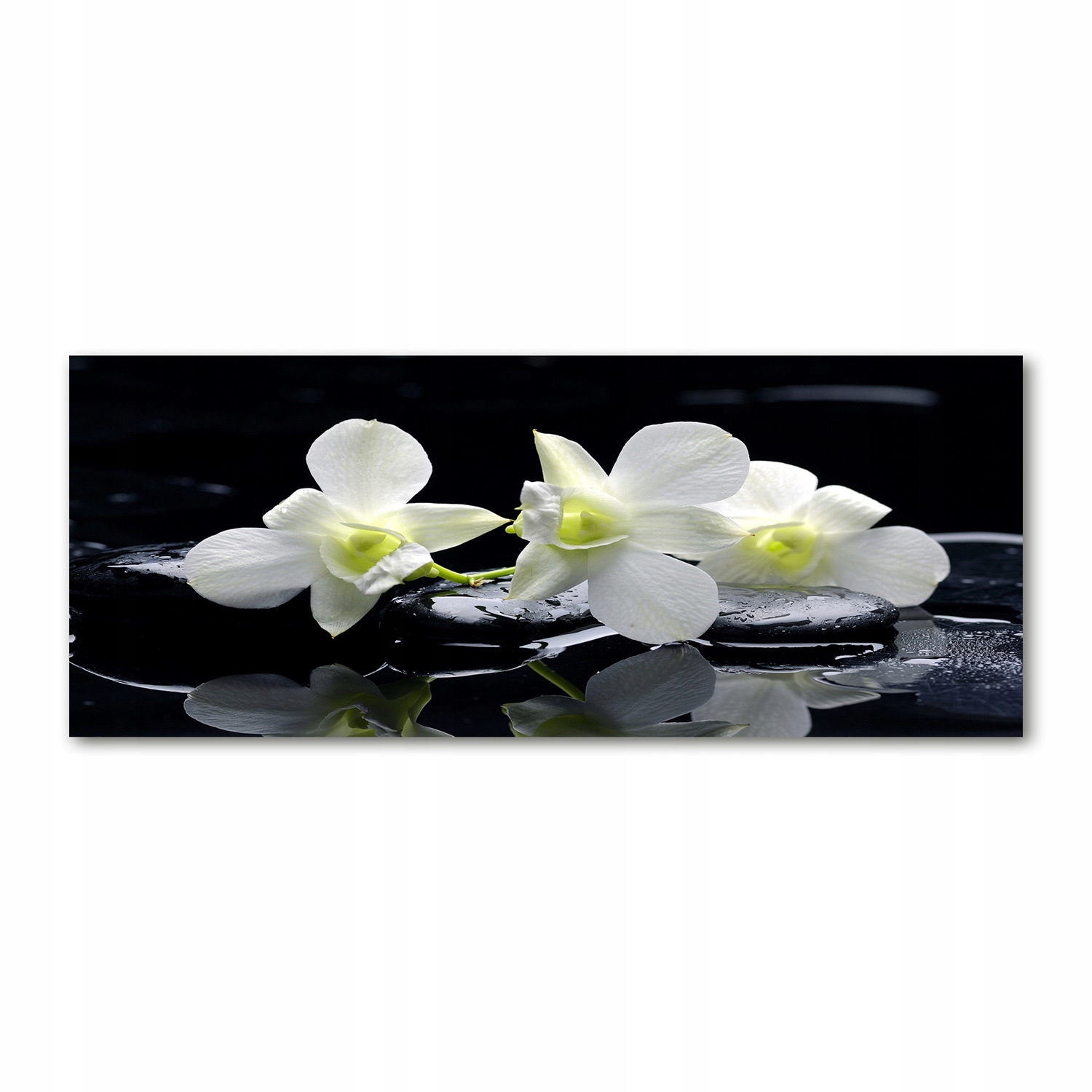 

Foto obraz duży akryl nowoczesny Orchidea 125x50cm