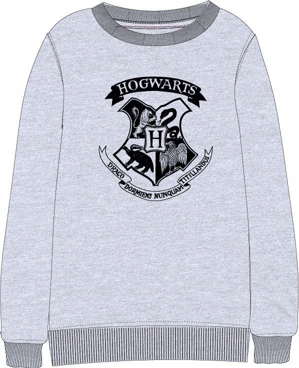 

Bluza Harry Potter 134/140 Szara