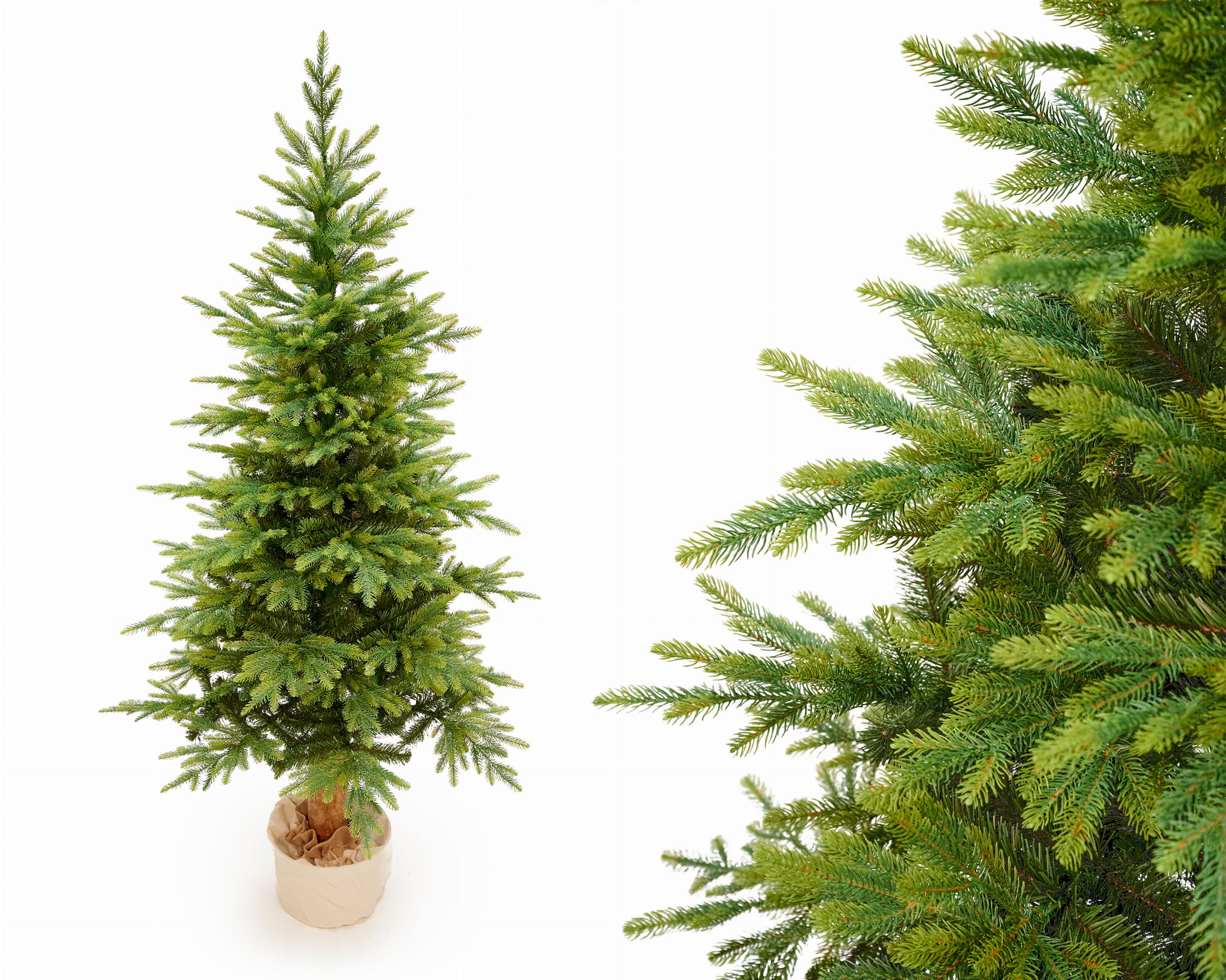 

Choinka na pniu/ Świerk Bavaria na pniu 220cm