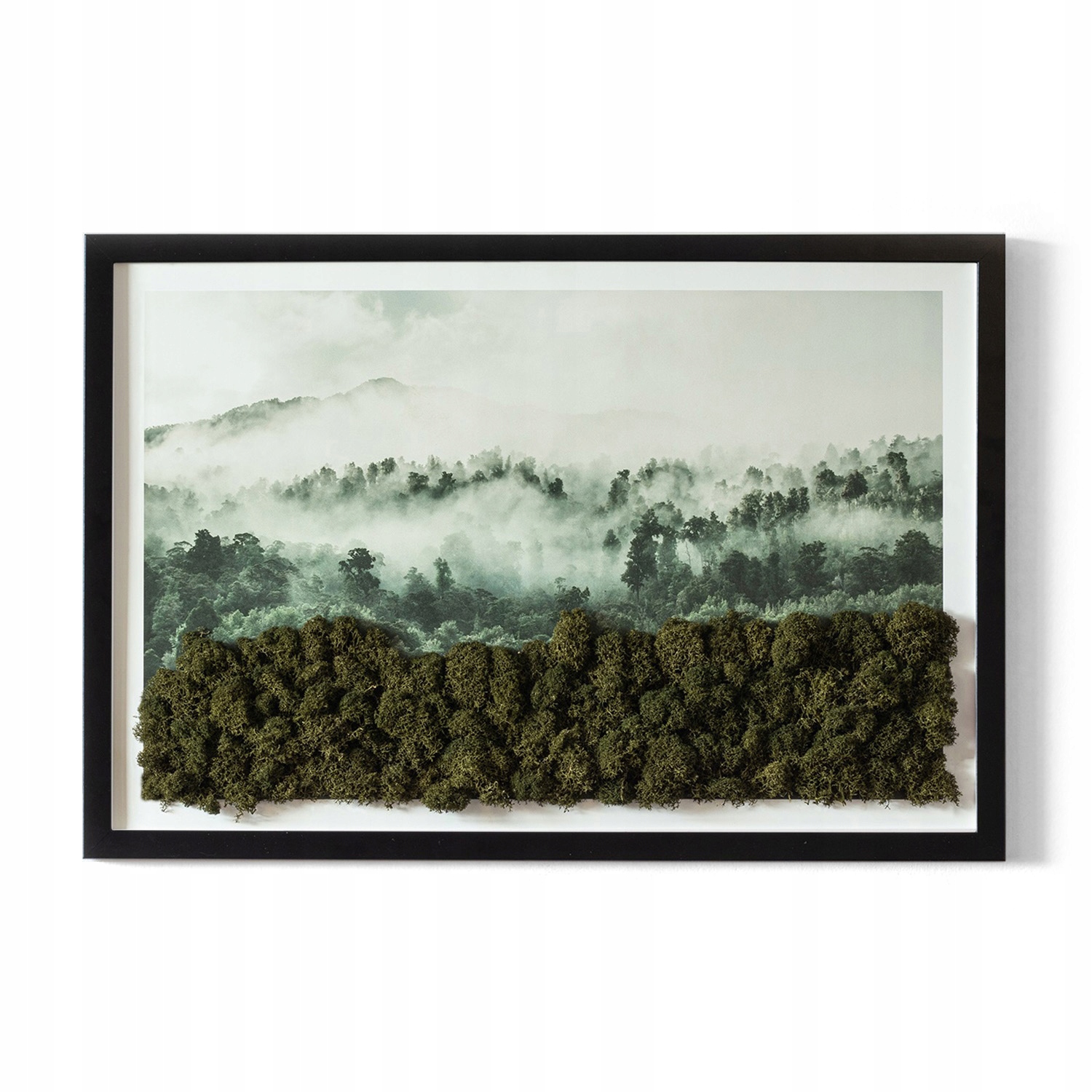 Obraz mech chrobotek prezent Las we mgle 60x40