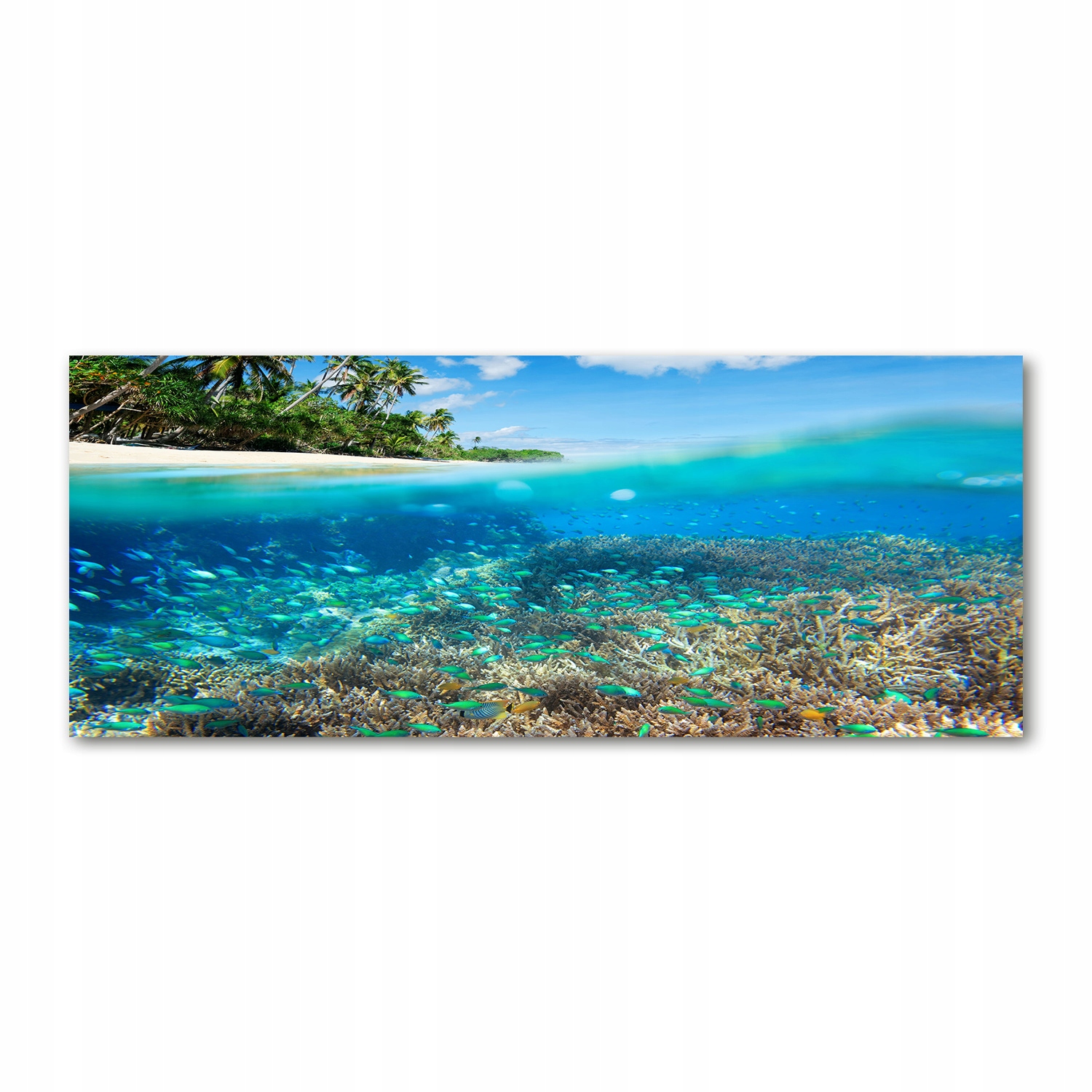 

Foto obraz akryl zdjęcie Rafa koralowa 125x50 cm