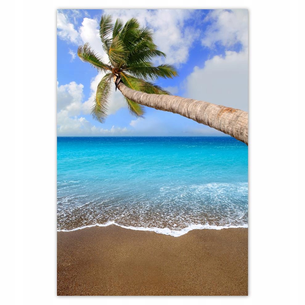 

Plakat 62x93 Palma nad oceanem
