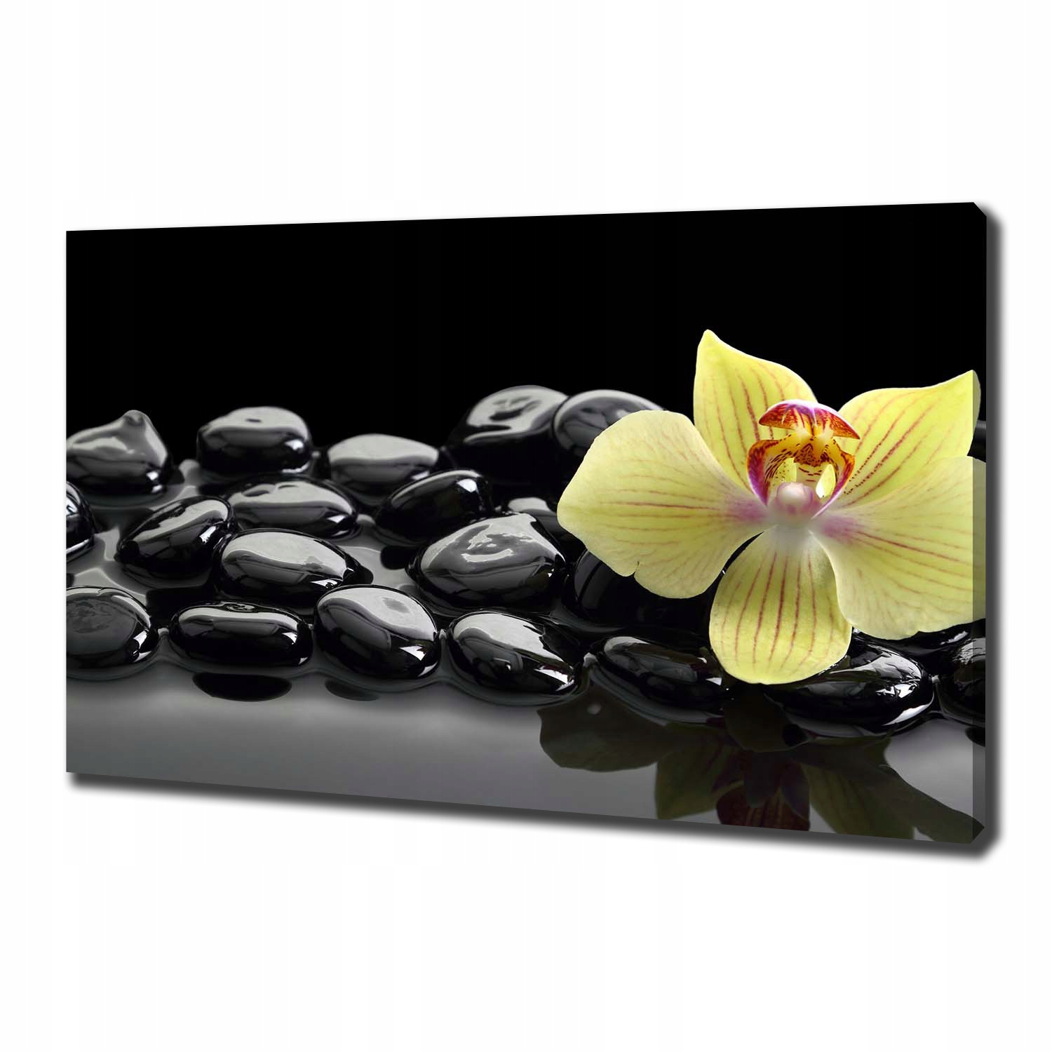 

Foto obraz canvas na ścianę Orchidea 100x70 cm