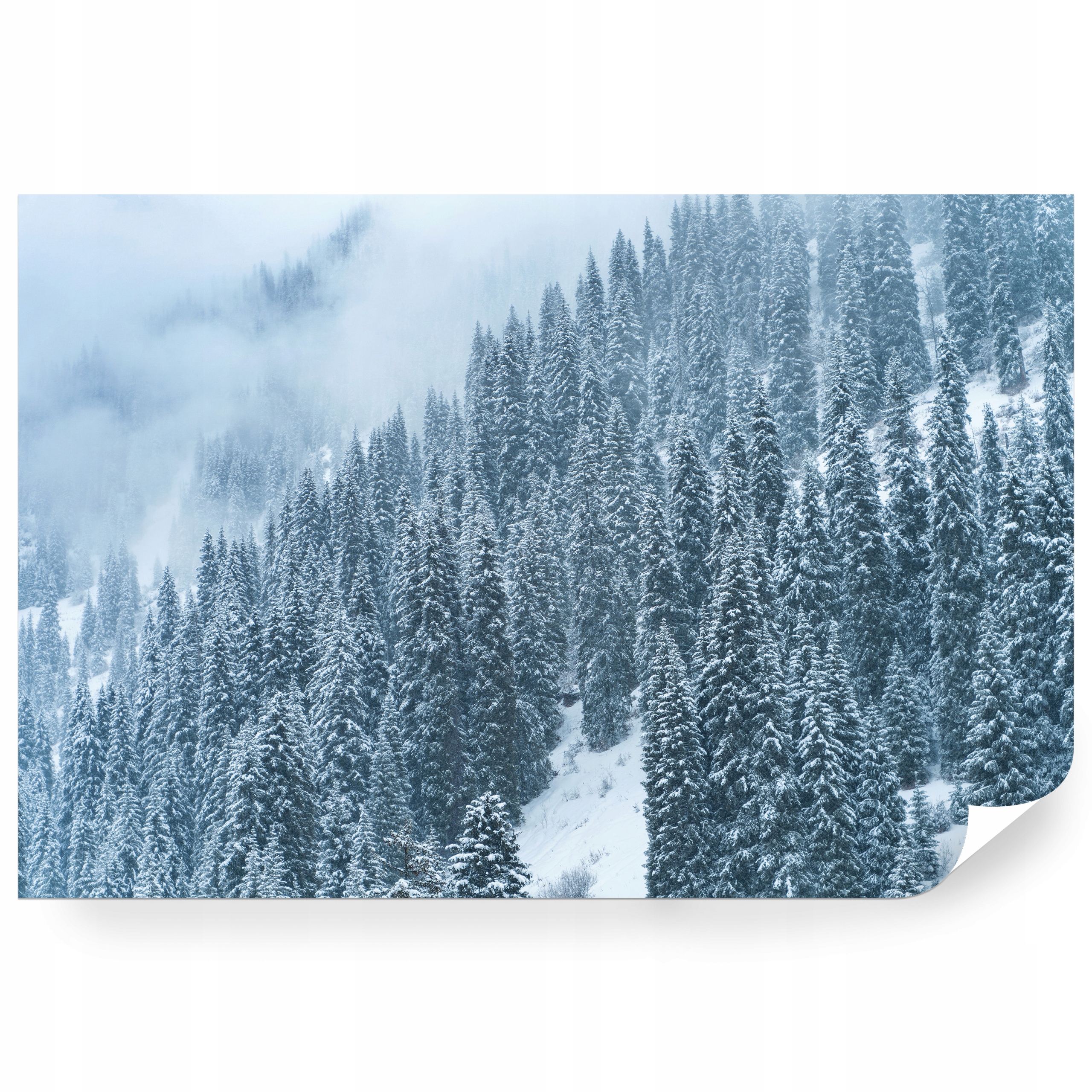 Fototapeta samolepicí Zasněžené Hory A Les V Almatách 416 x 254 cm