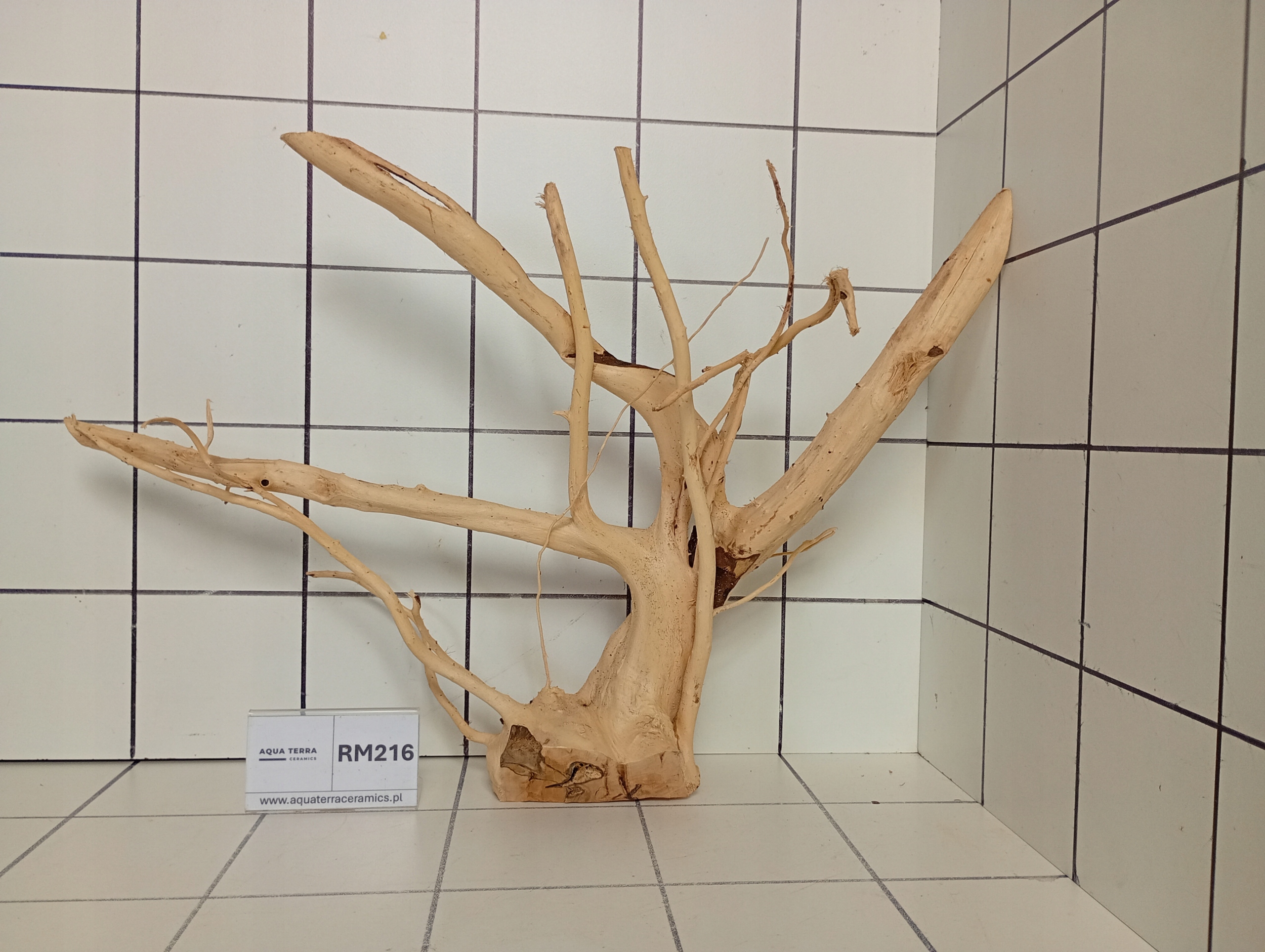 Korzeń Japoński Do Akwarium Terrarium Red Moor RM216 (to co na zdjęciu)