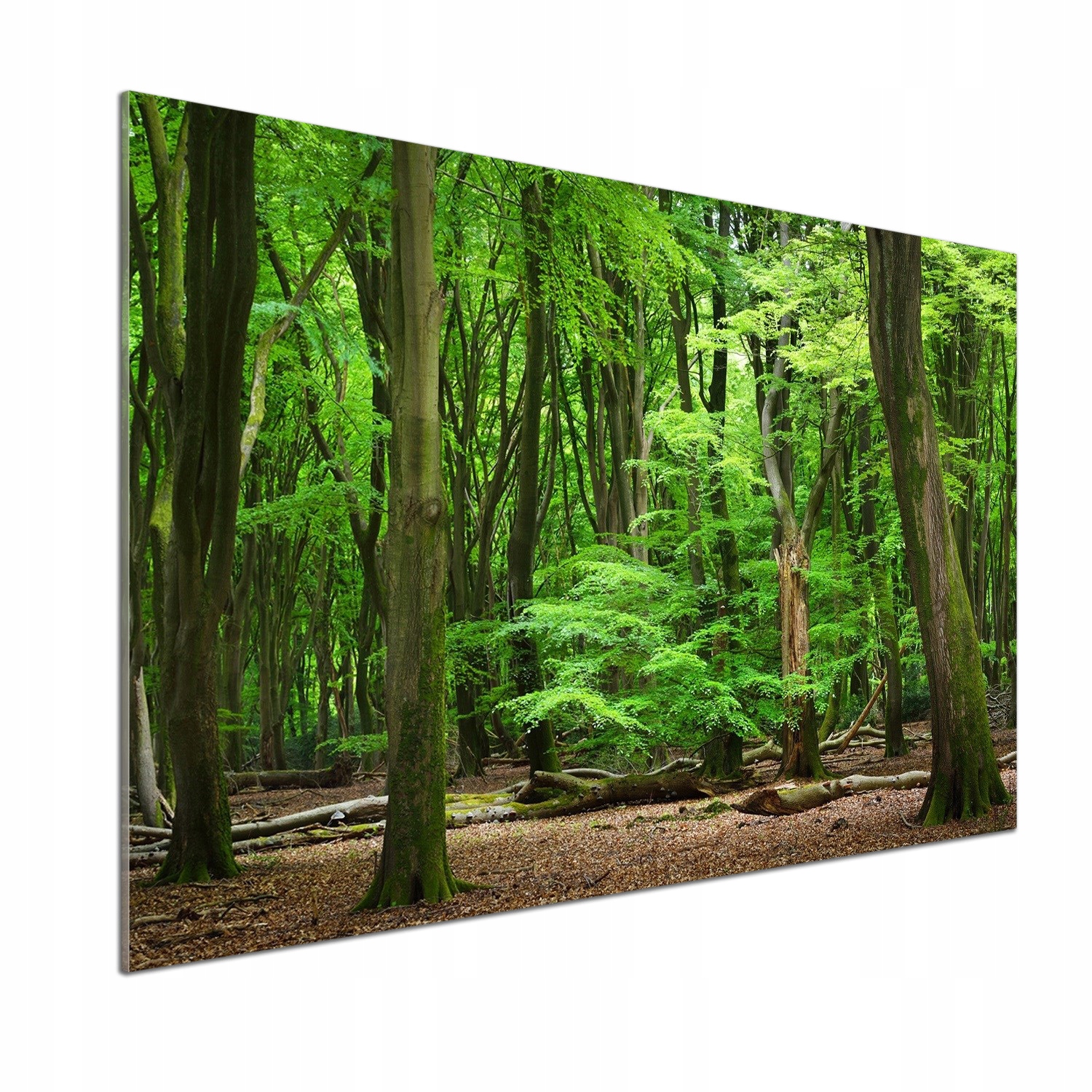 Panel do kuchyne Holandský les 100 x 70 cm Lepidlo