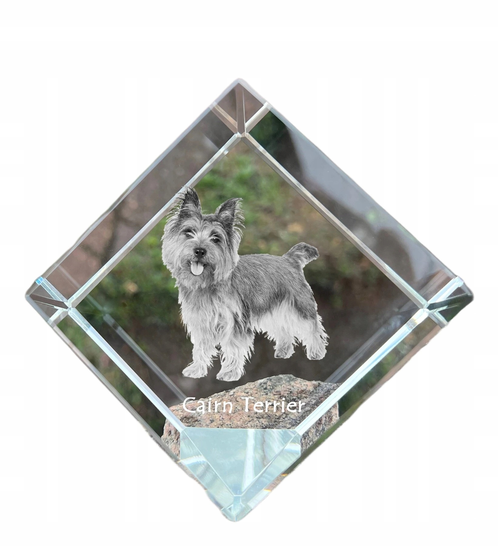 Cairn Terrier krištáľová kocka s fotografiou psa, ozdoba na stôl