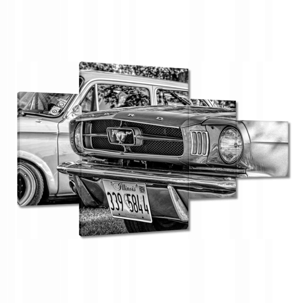 Obrazy 130x80 Ford Mustang