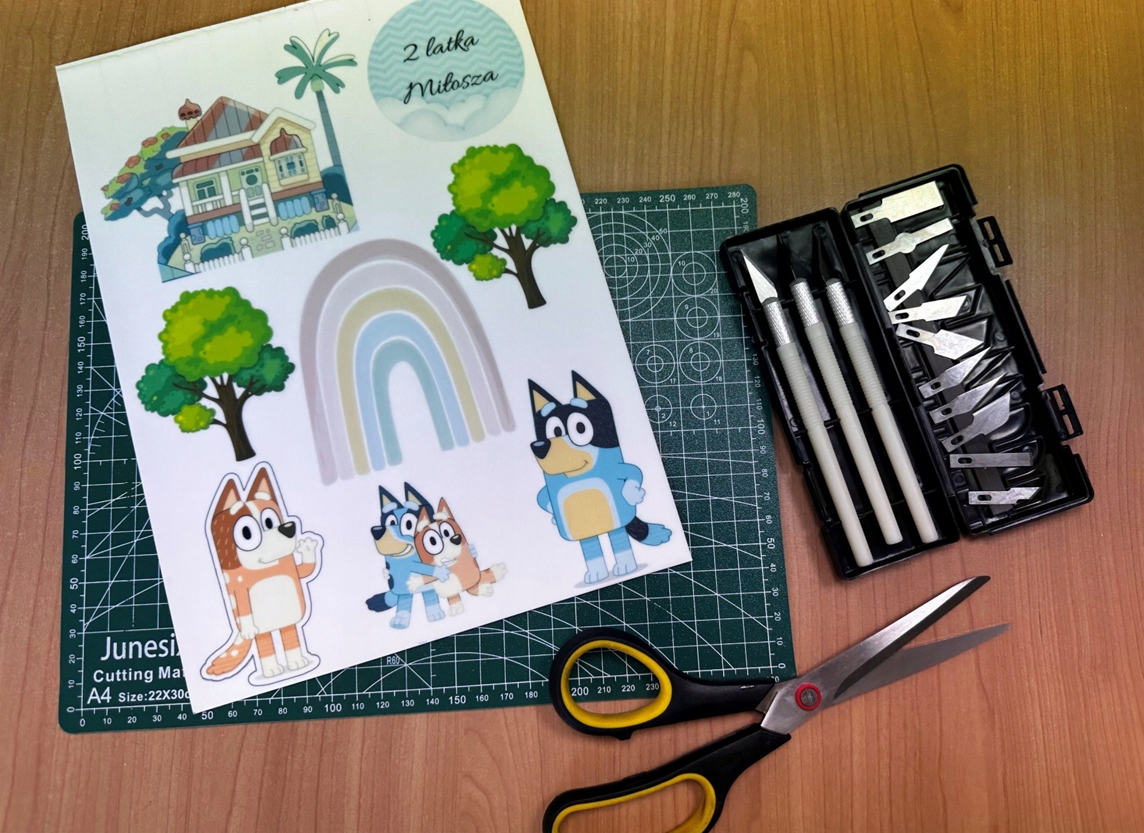 Wydruk na masie cukrowej WYDRUK NA TORT BLUEEY DOMEK + GRATIS Typ masa cukrowa